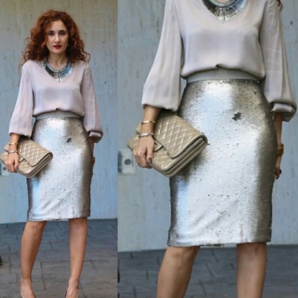 NWT Banana Republic Sequin Pencil Knee Length Skirt Silver Champagne 14